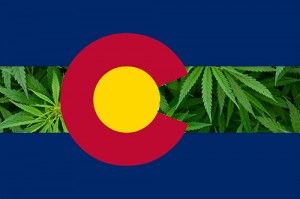 Caught With Pot in Colorado